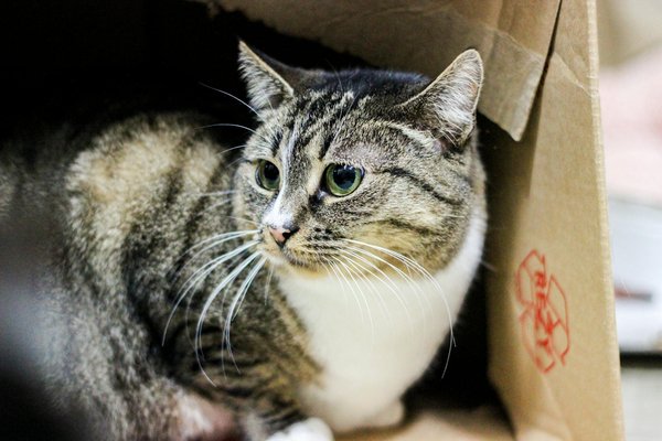 Hoe kan ik de waarde van mijn vastgoed verhogen?